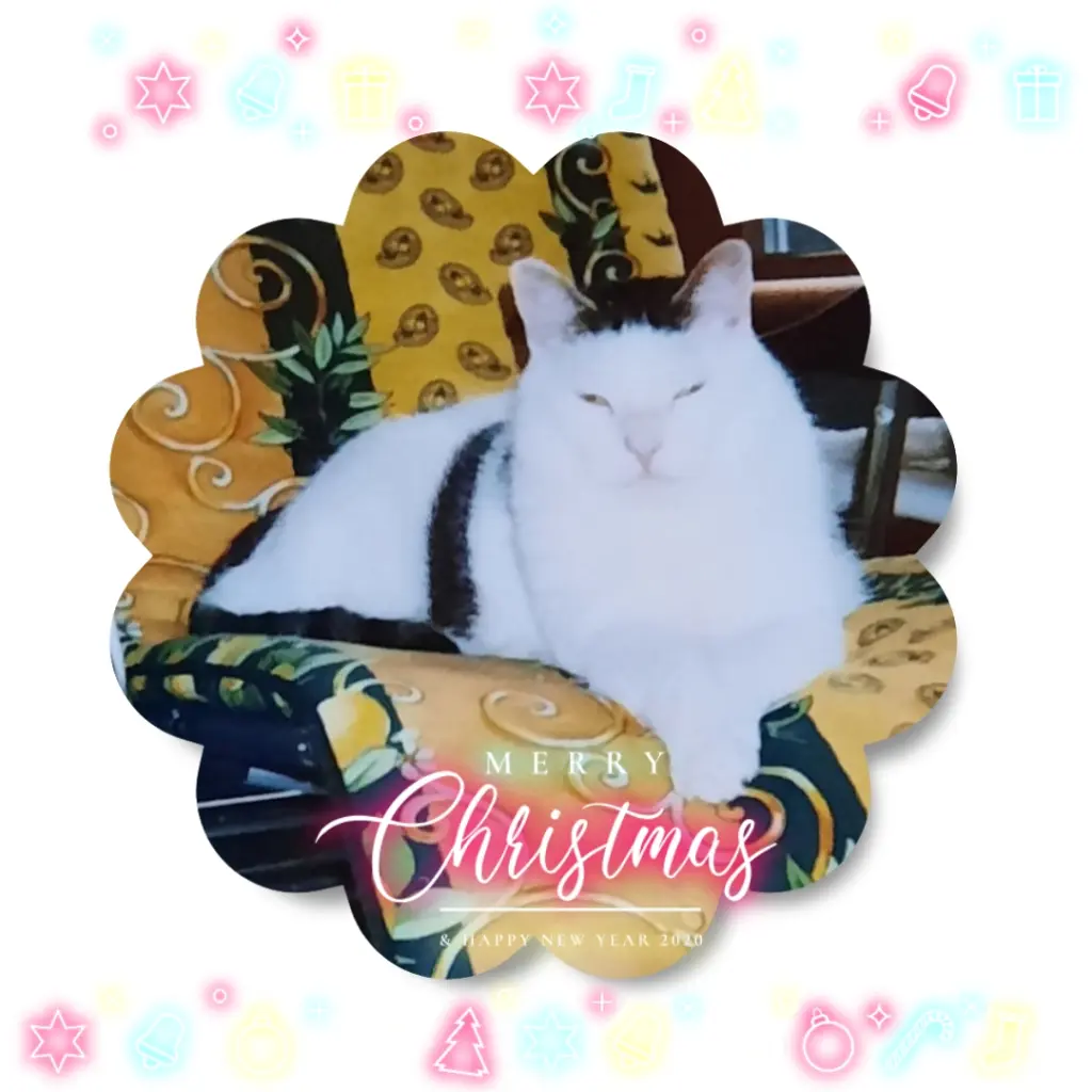 Condolence image of ❤️Frohe Weihnachten Jönnchen ❤️