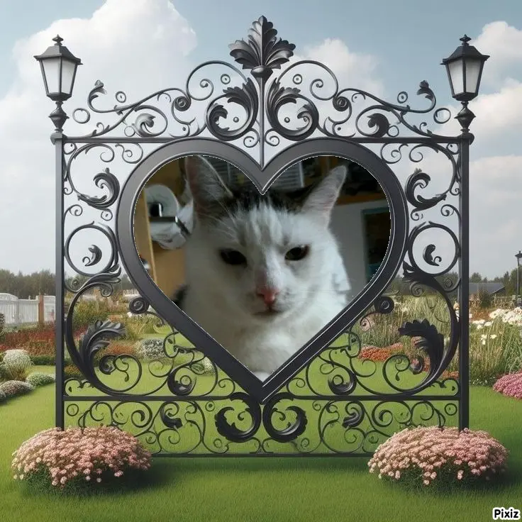 Condolence image of Tanja mit Timmy im Herzen 