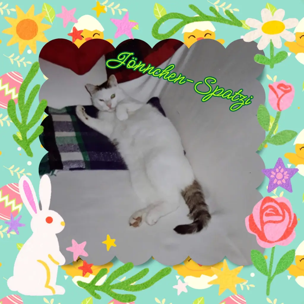 Condolence image of 💐Frohe Ostern 💐 Jönnchen-Spatzi ❤️