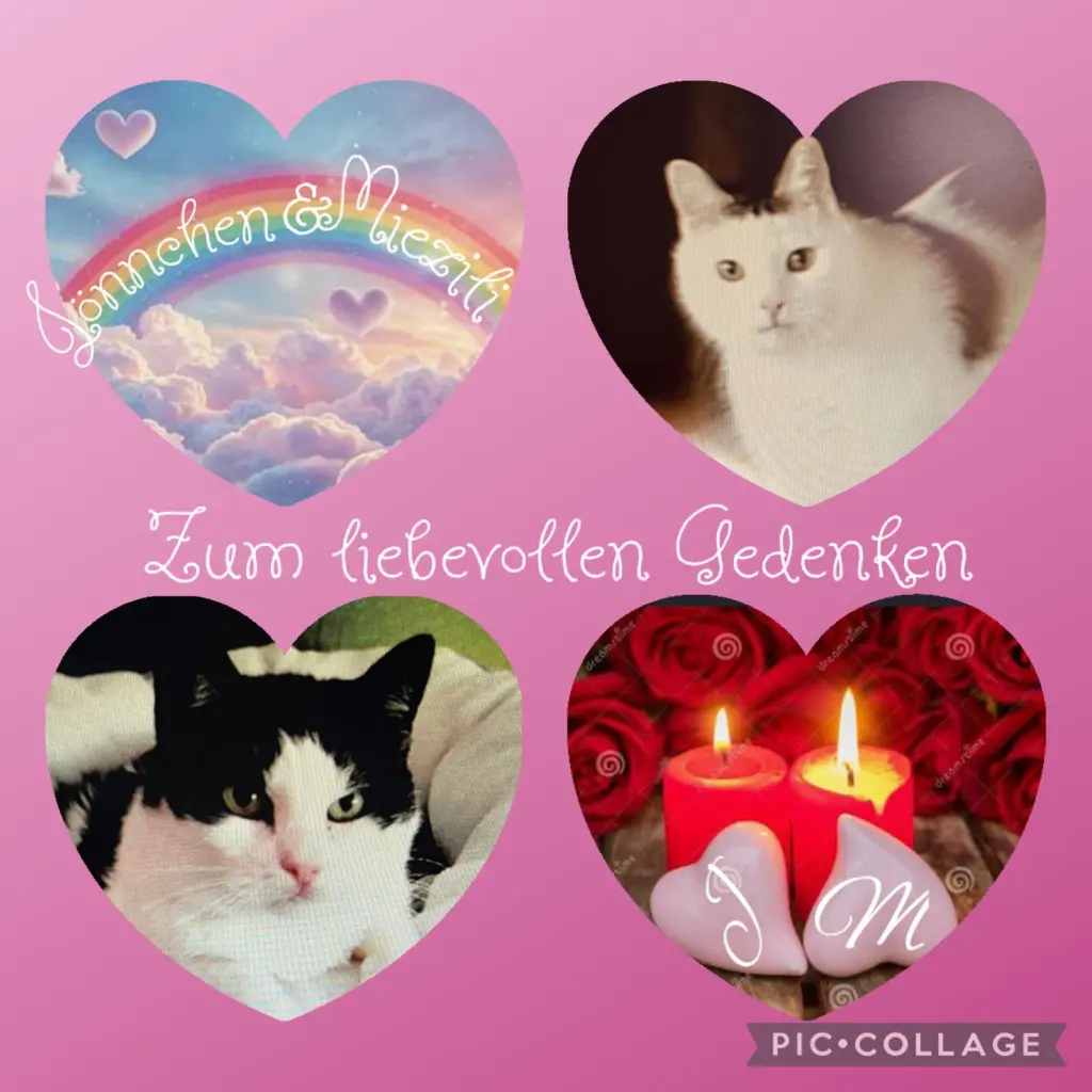 Condolence image of ❤️91 Mo❤️Deine Mutti und deine Oma ❤️
