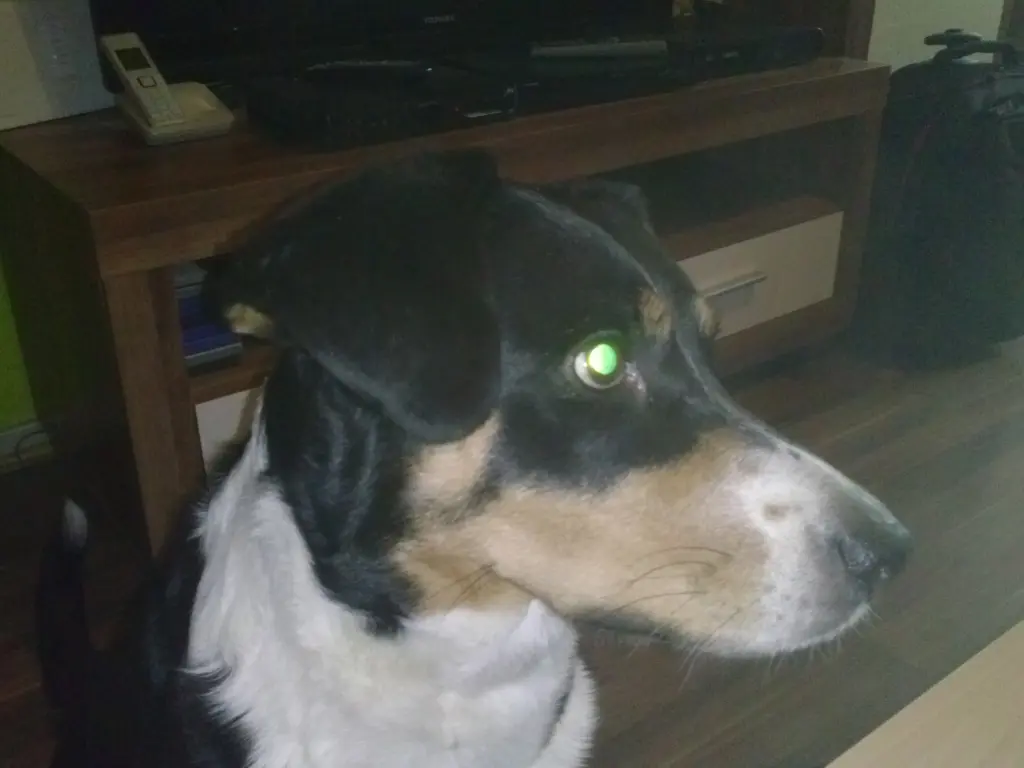 Image from Nicki
