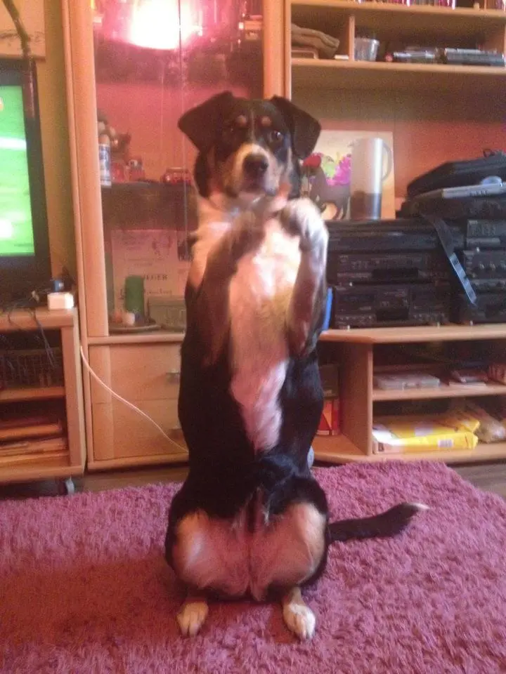 Image from Nicki