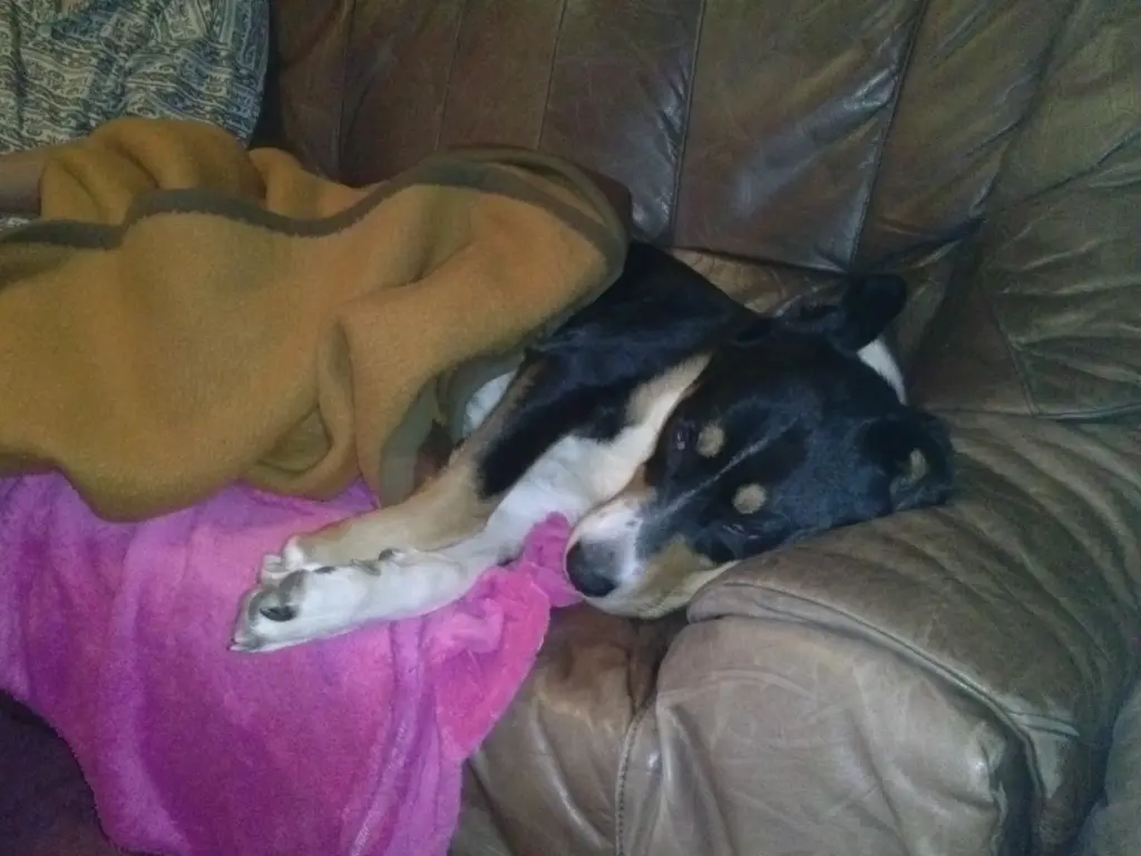 Image from Nicki