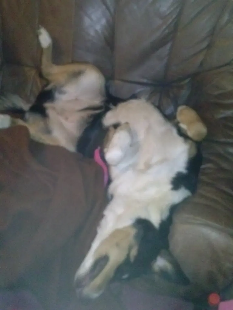 Image from Nicki
