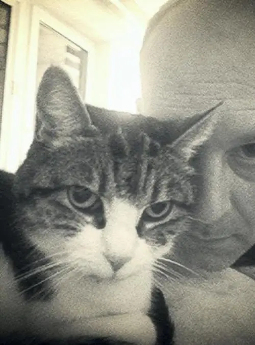 Image from Clint