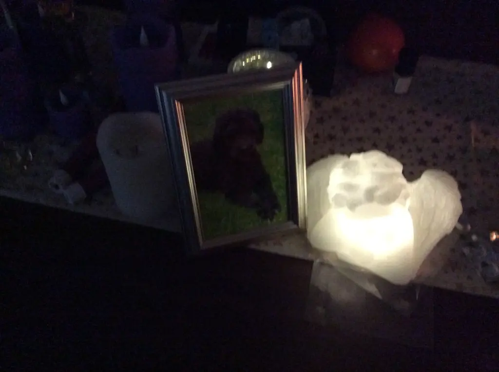 Condolence image of Heidi Mein Beileid zum Verlust der geliebten 