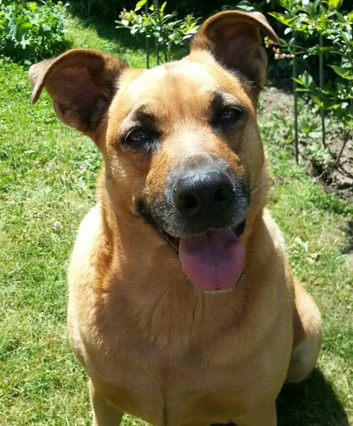 Image from Ronja