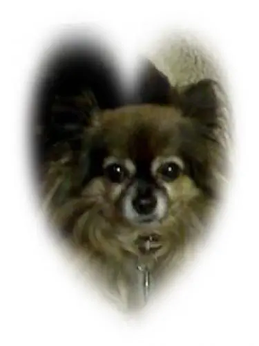 Image from Aaron