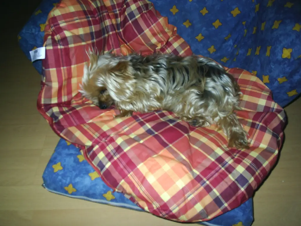Image from Denny