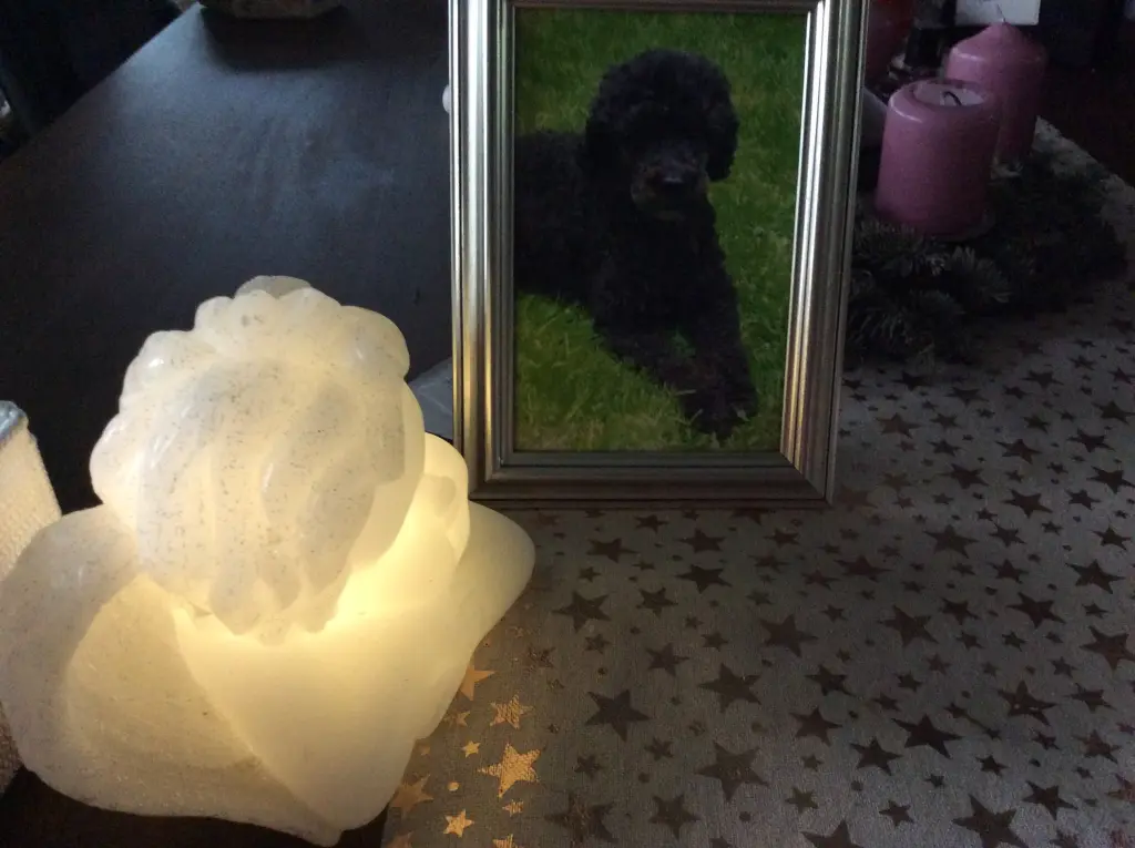 Condolence image of Heidi 