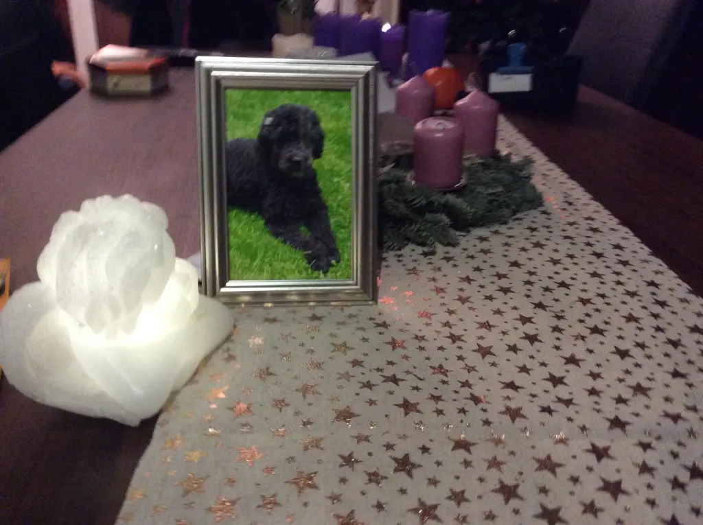 Condolence image of Heidi 