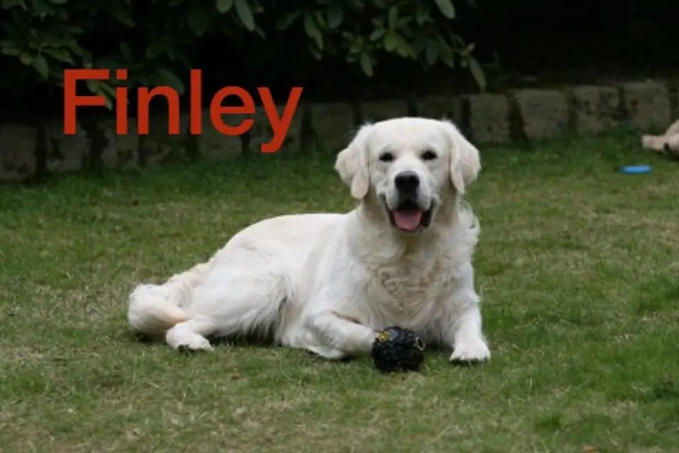 Image from Finley