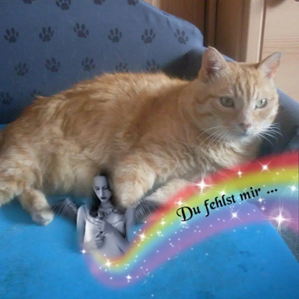Andachtsbild von Michaela mit Pablo im Herzen