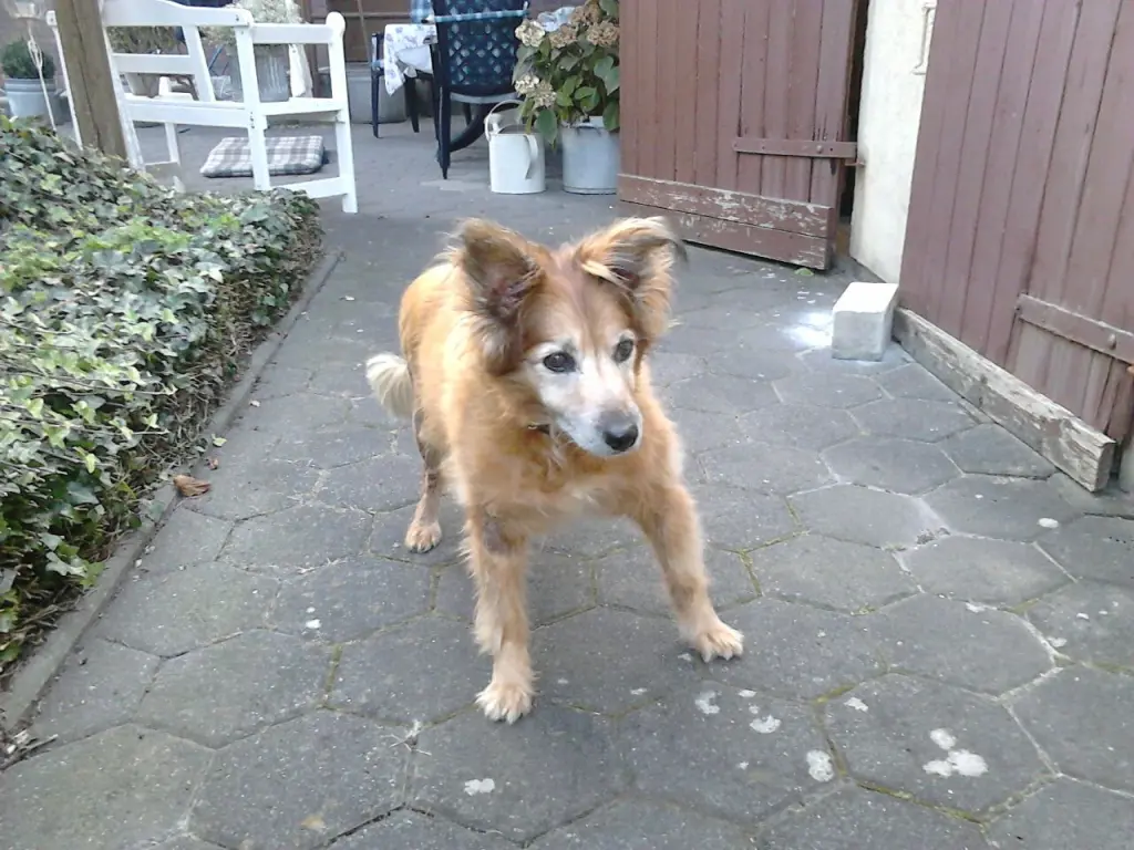 Condolence image of Sabine