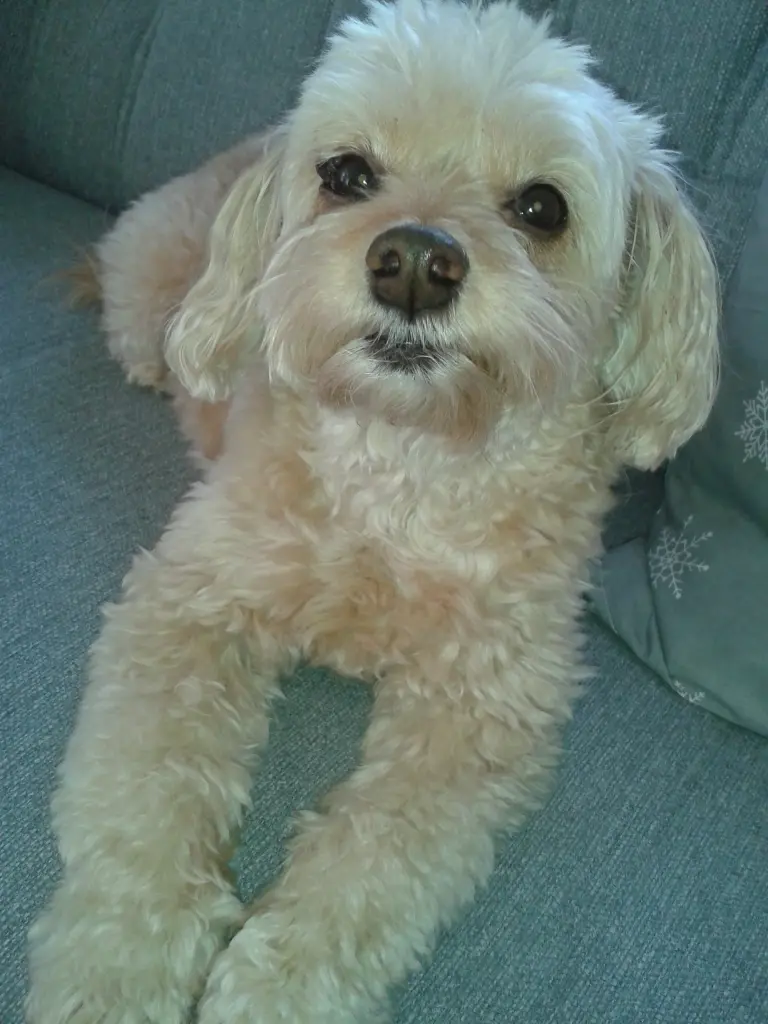 Condolence image of Sabine