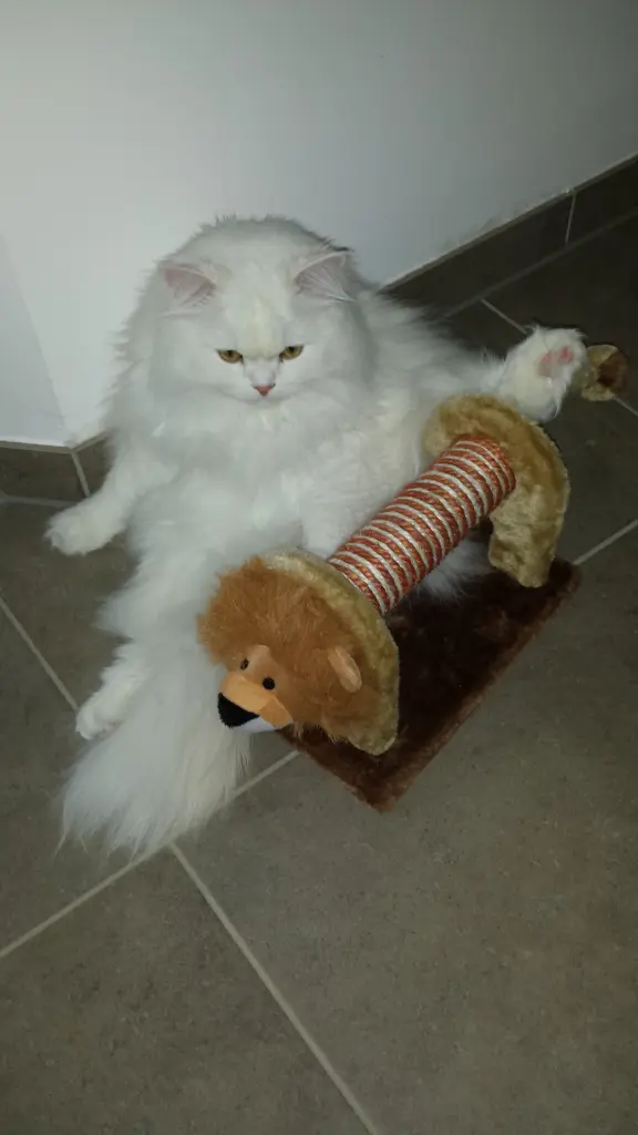 Image from Wim
