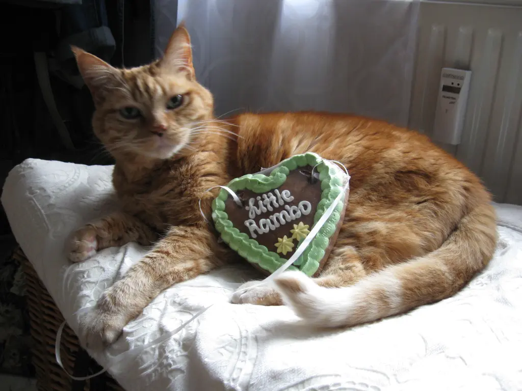 Andachtsbild von Katharina m. Rambo