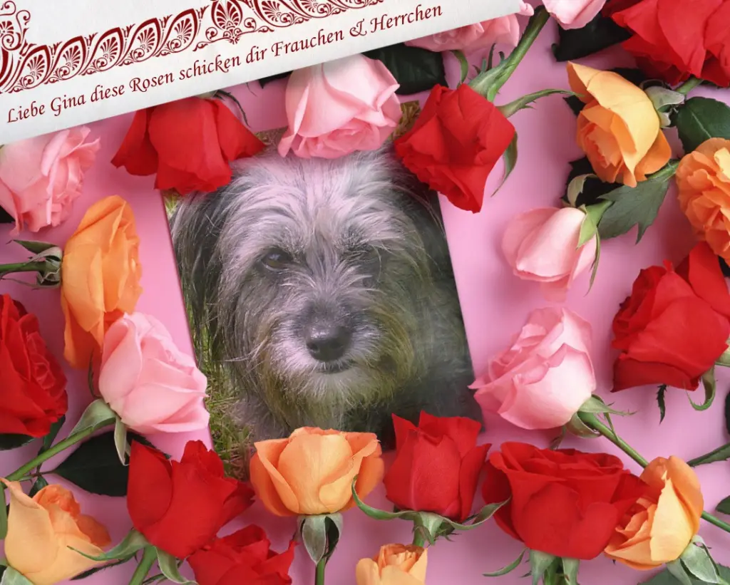 Condolence image of angelika
