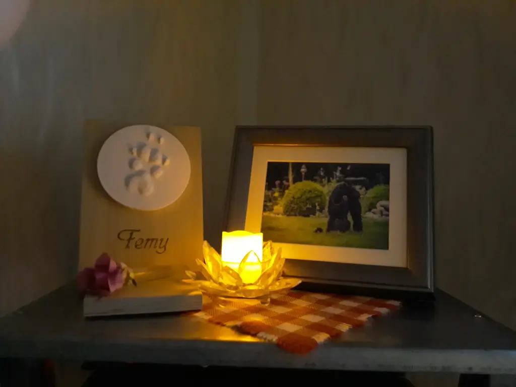 Image from Femy