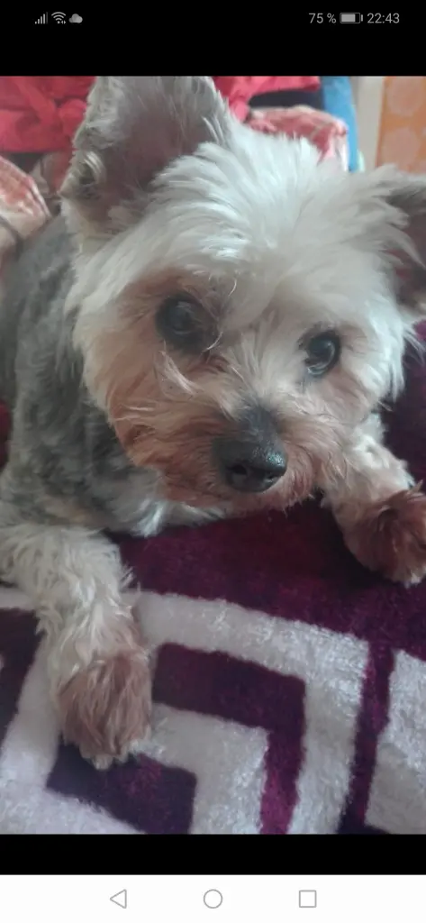 Condolence image of Vincenza
