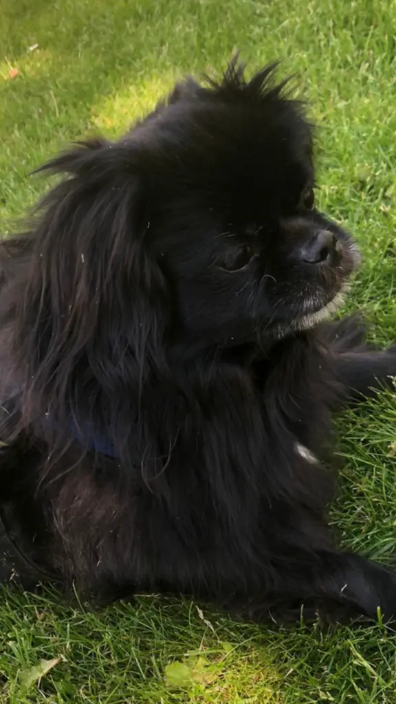 Andachtsbild von Ruth mit Atica im Herzen