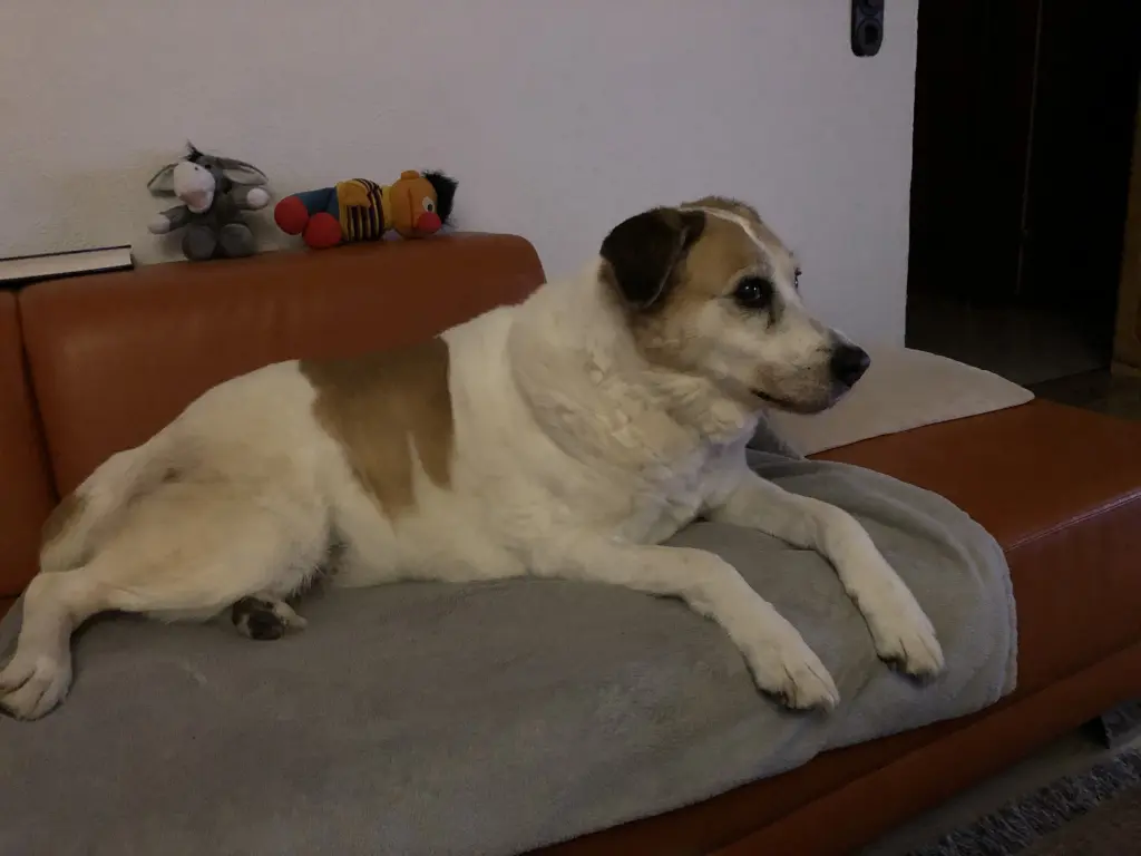 Image from Safy