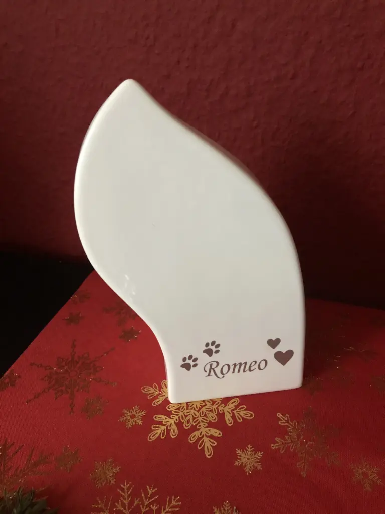 Image from Romeo