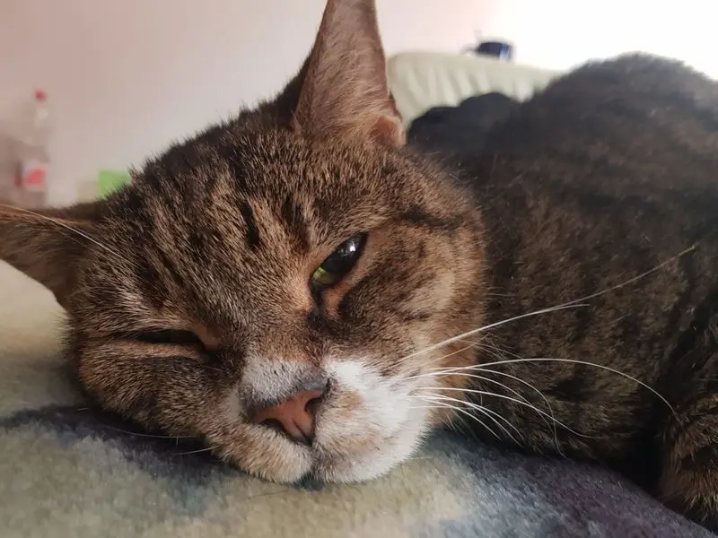 Condolence image of Simone