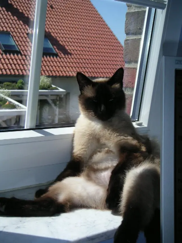 Condolence image of Frauke