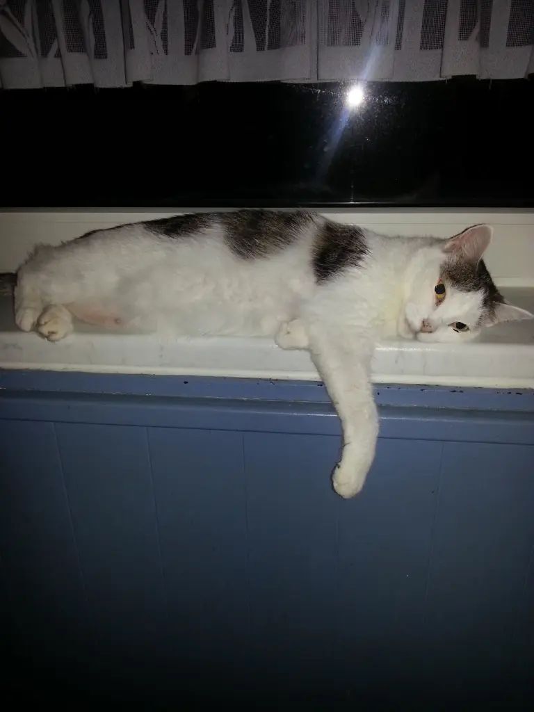 Image from Mully