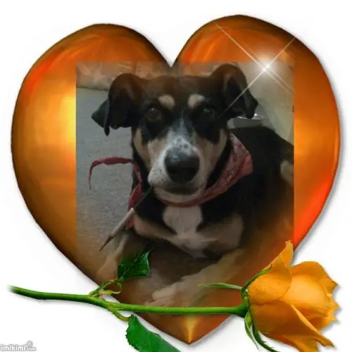 Image from Sally