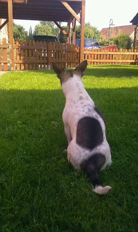 Image from Betty "Mausi"