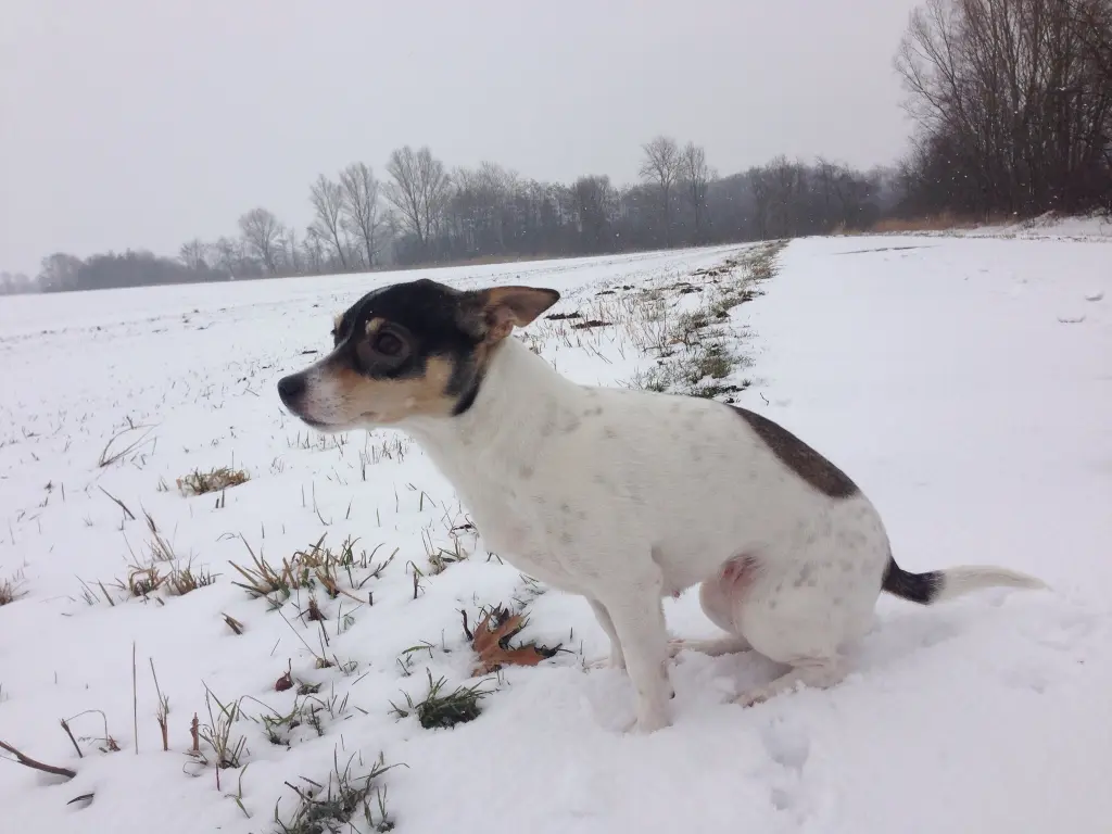 Image from Betty "Mausi"