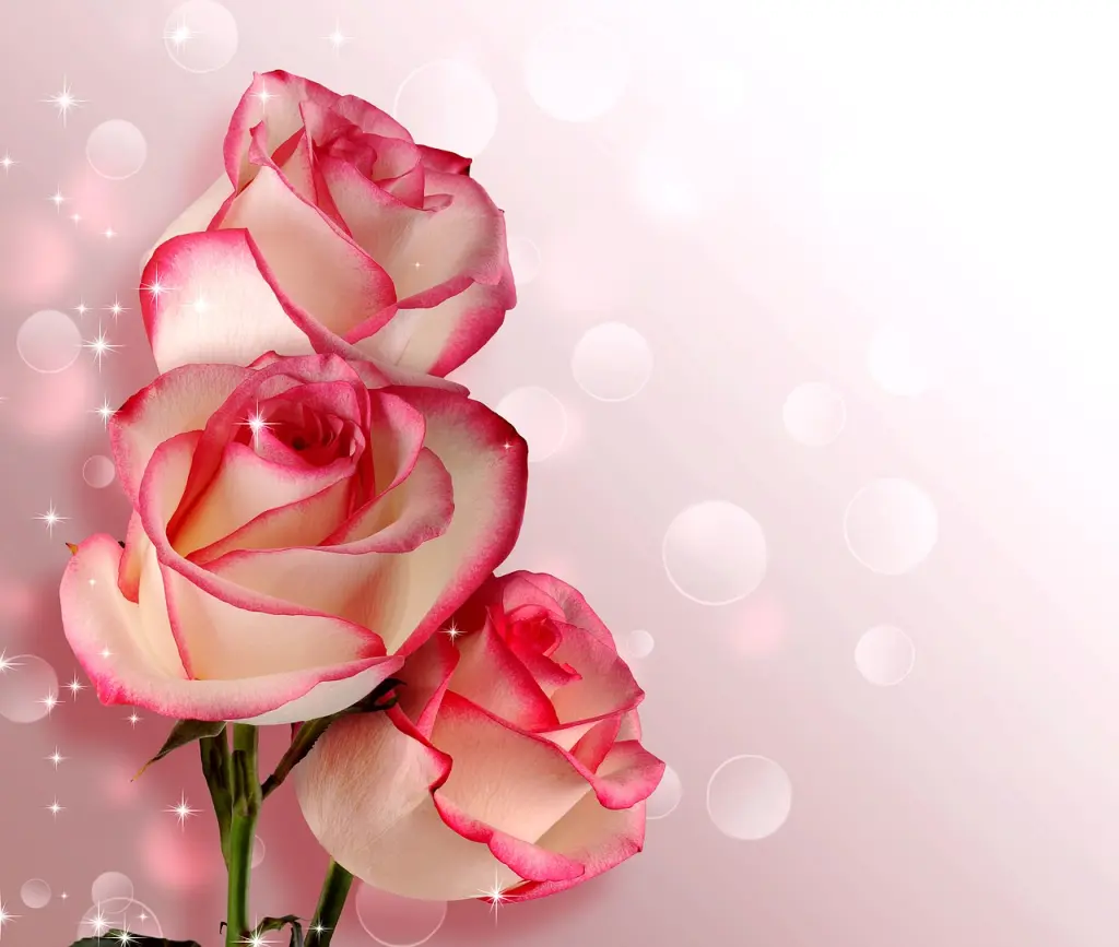 Condolence image of Eure Mama
