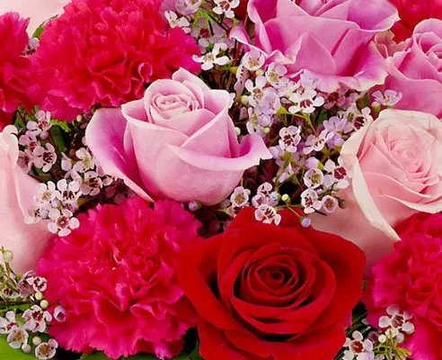 Condolence image of Eure Mama❤
