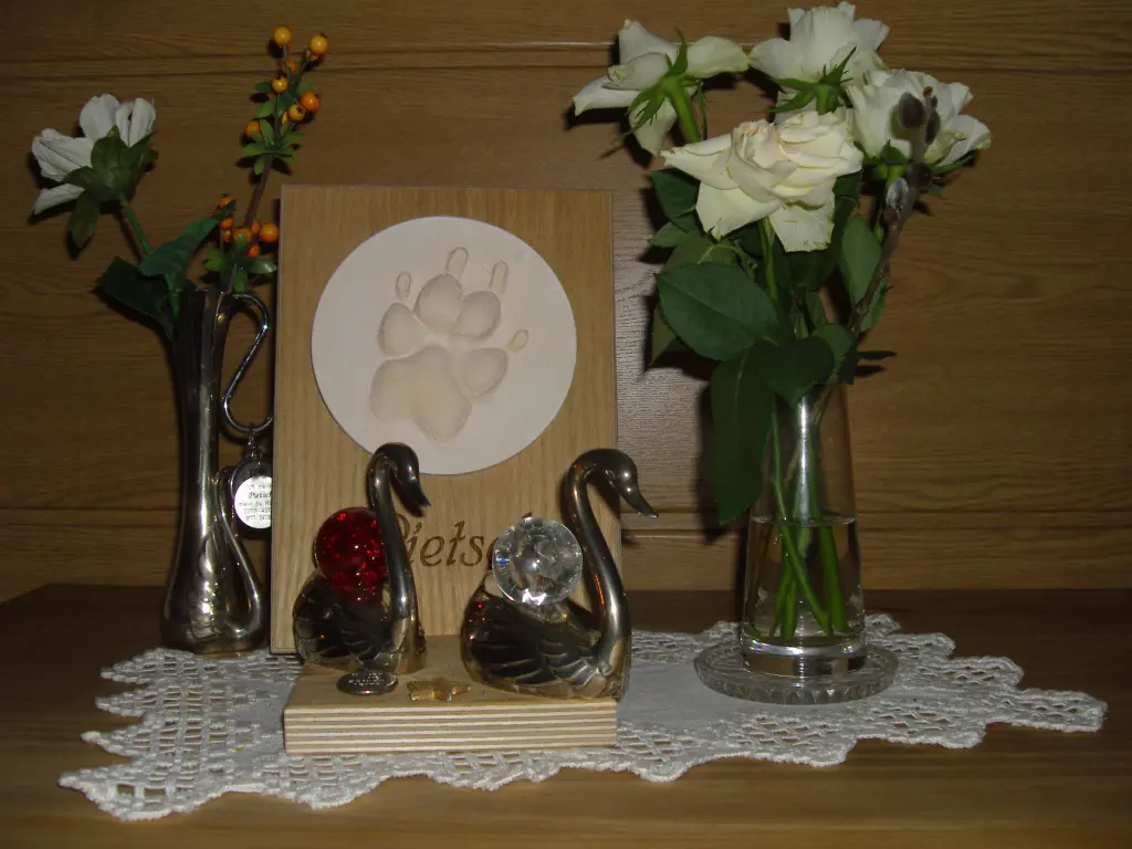 Condolence image of Marlies mit Pietsch im Herzen