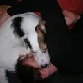 Condolence image of Kerstin mit Gismo im Herzen