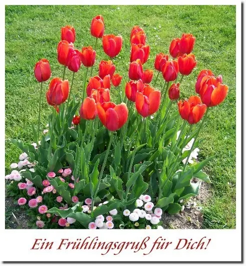 Condolence image of Unbekannt