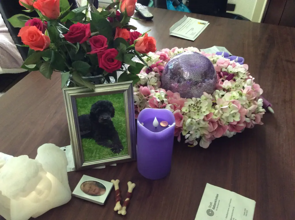 Condolence image of Heidi