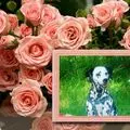 Condolence image of ❤️❤️❤️