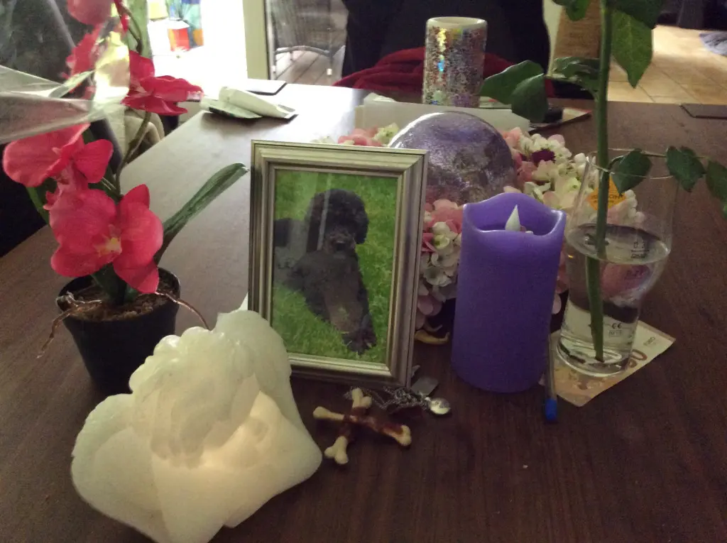 Condolence image of Heidi 