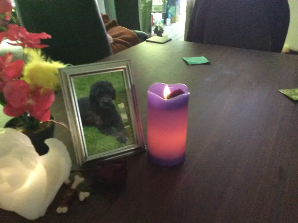 Condolence image of Heidi