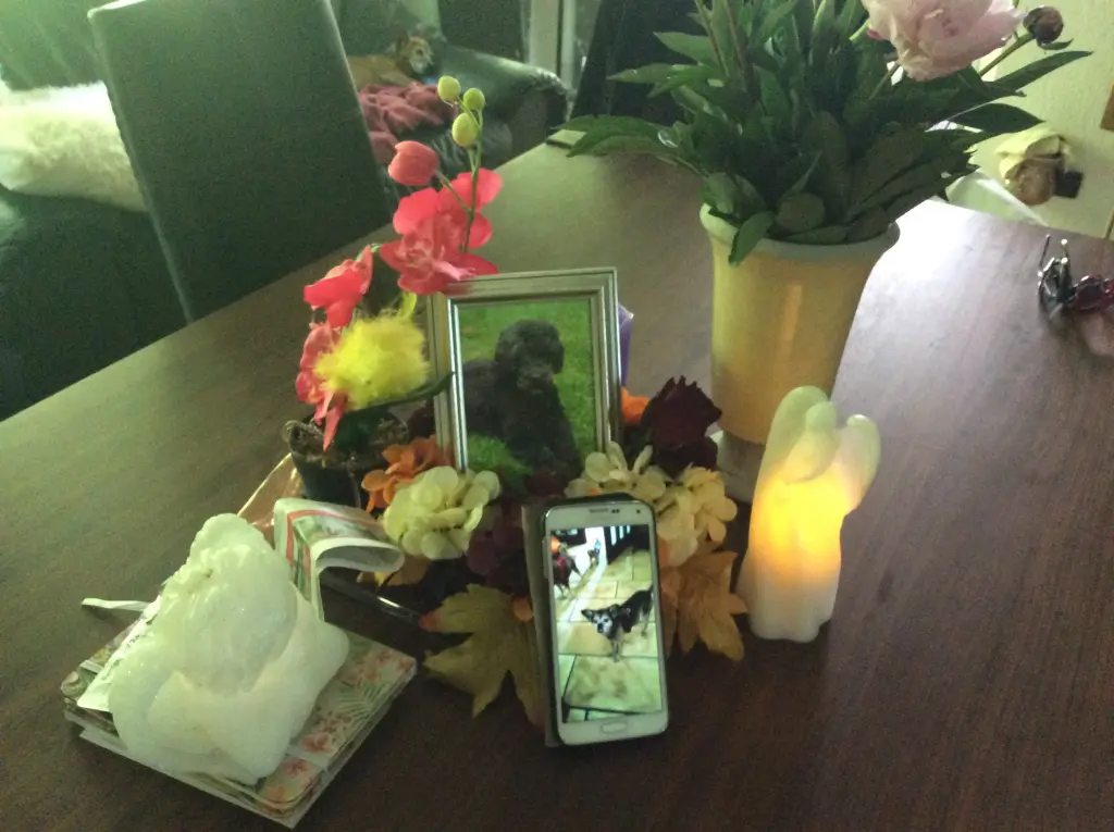 Condolence image of Heidi