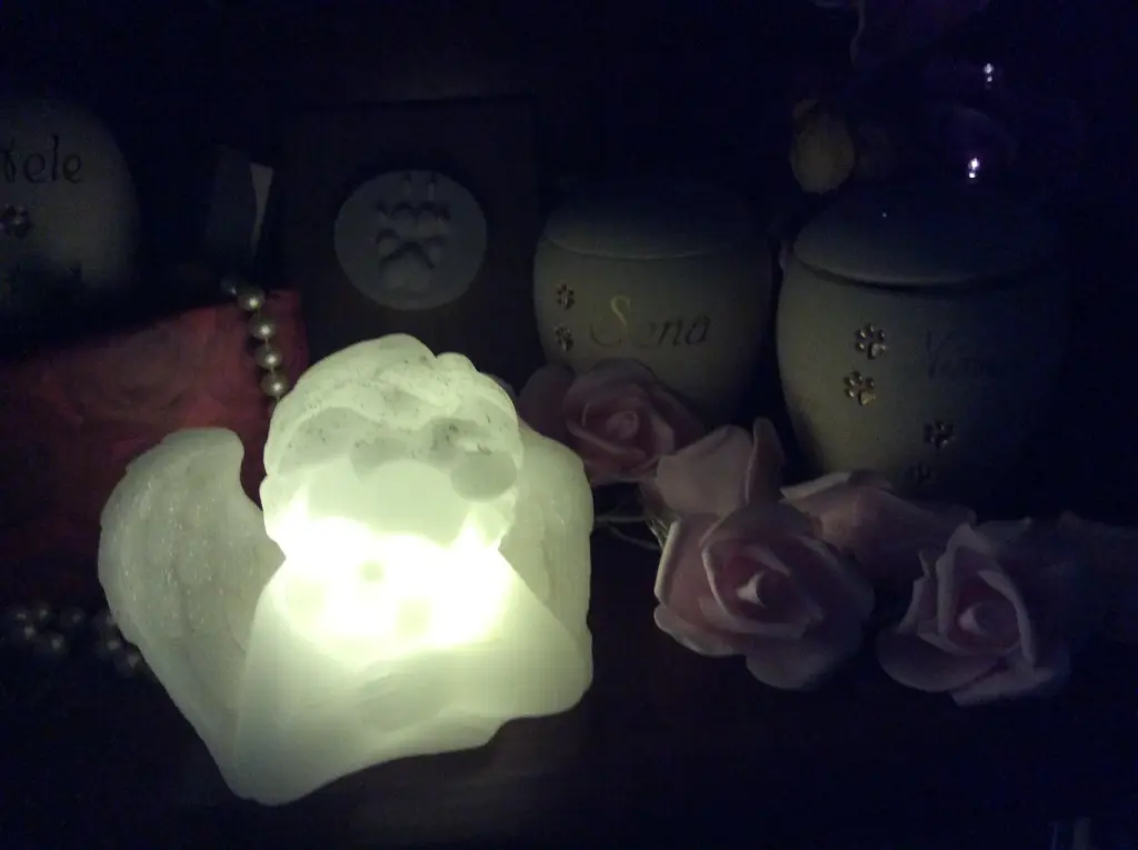 Condolence image of Heidi
