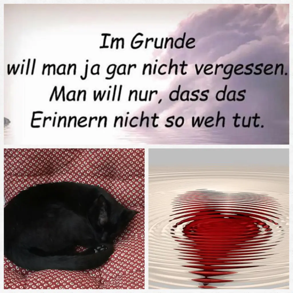 Condolence image of Anja mit Joy im Herzen ❤
