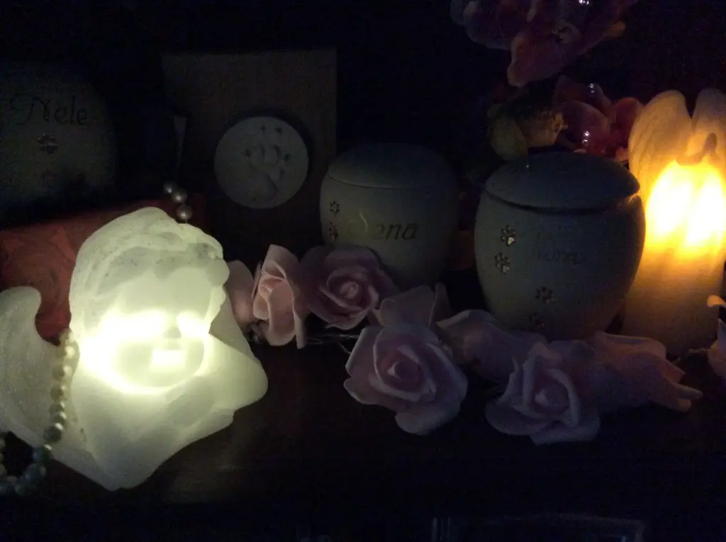 Condolence image of Heidi 