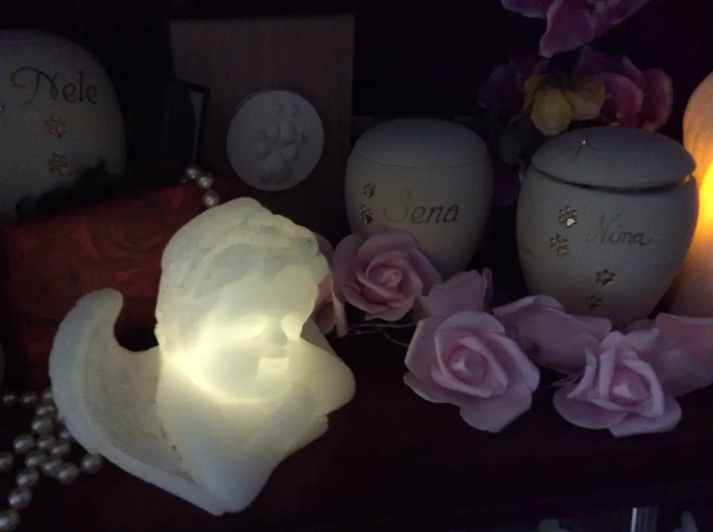 Condolence image of Heidi 
