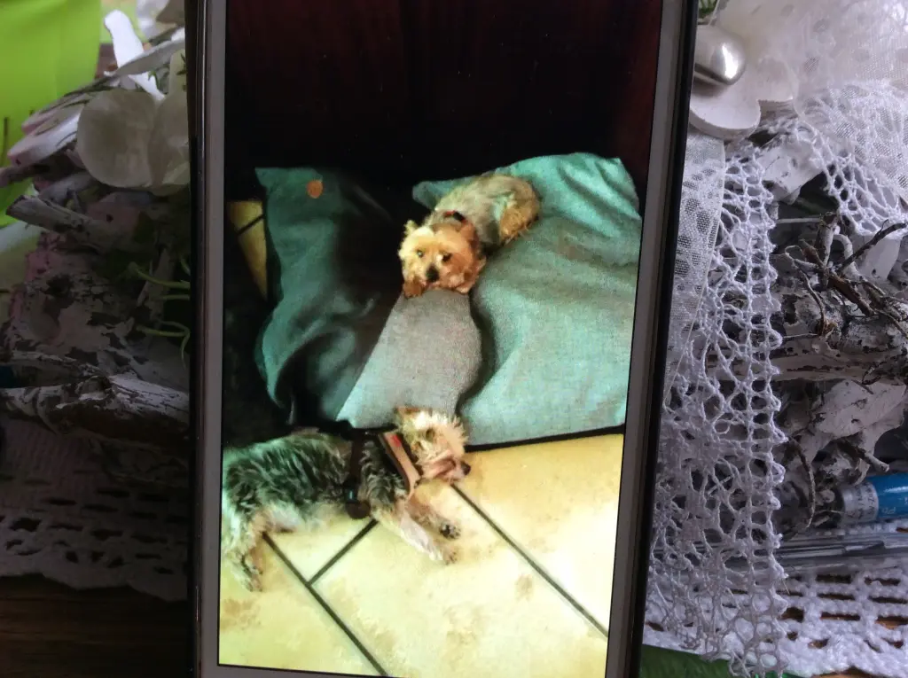Condolence image of Heidi