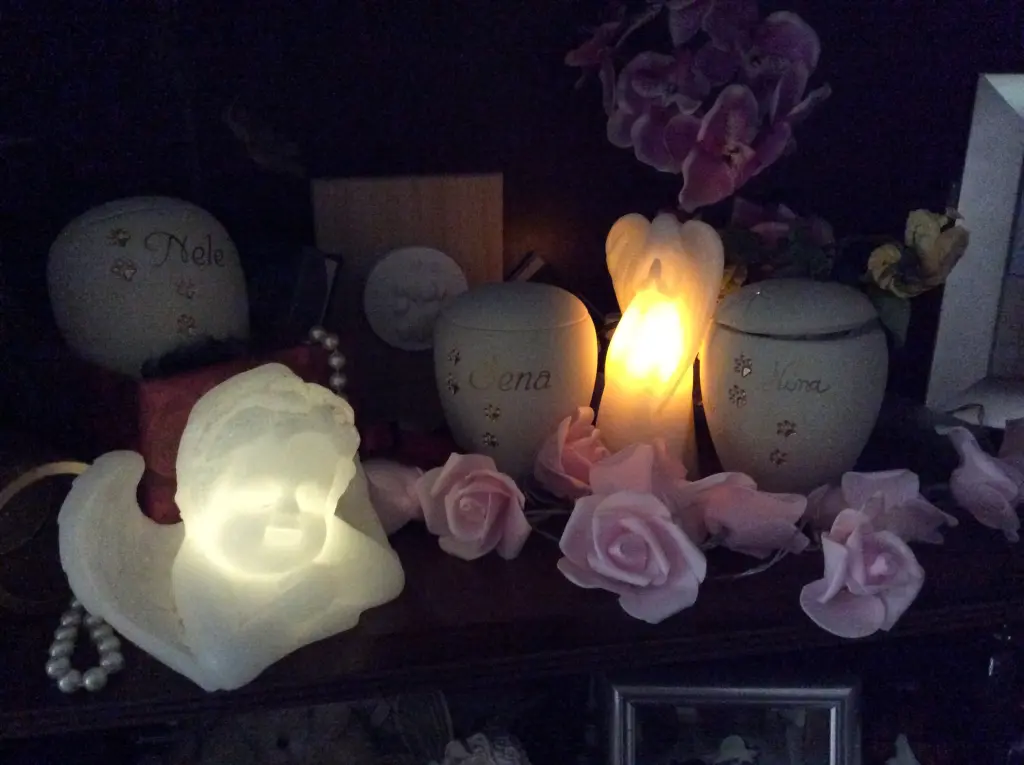 Condolence image of Heidi