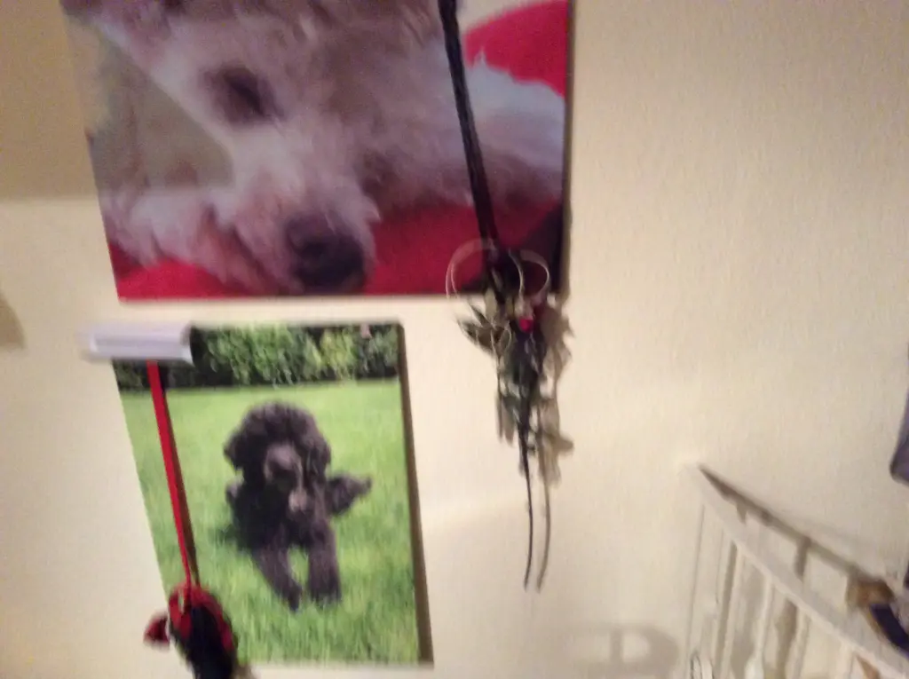 Condolence image of Heidi
